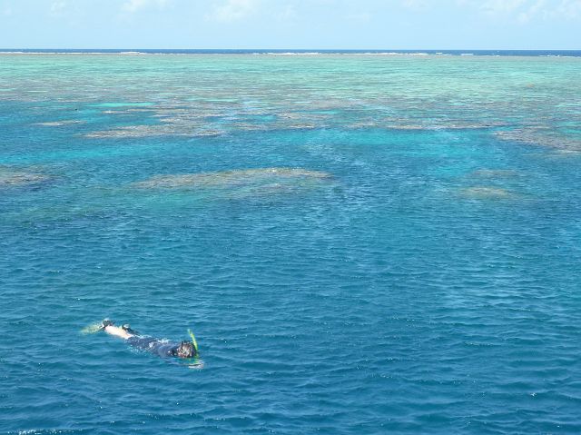 754-great-barrier-reef-31 copy.jpg - om te snorkelen en de wondere wereld onder zee te ontdekken.